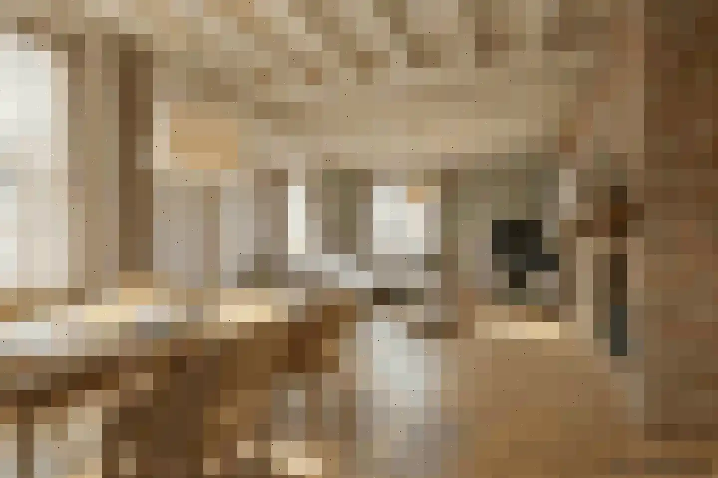 Dril 77 Volendam thumbnail 12