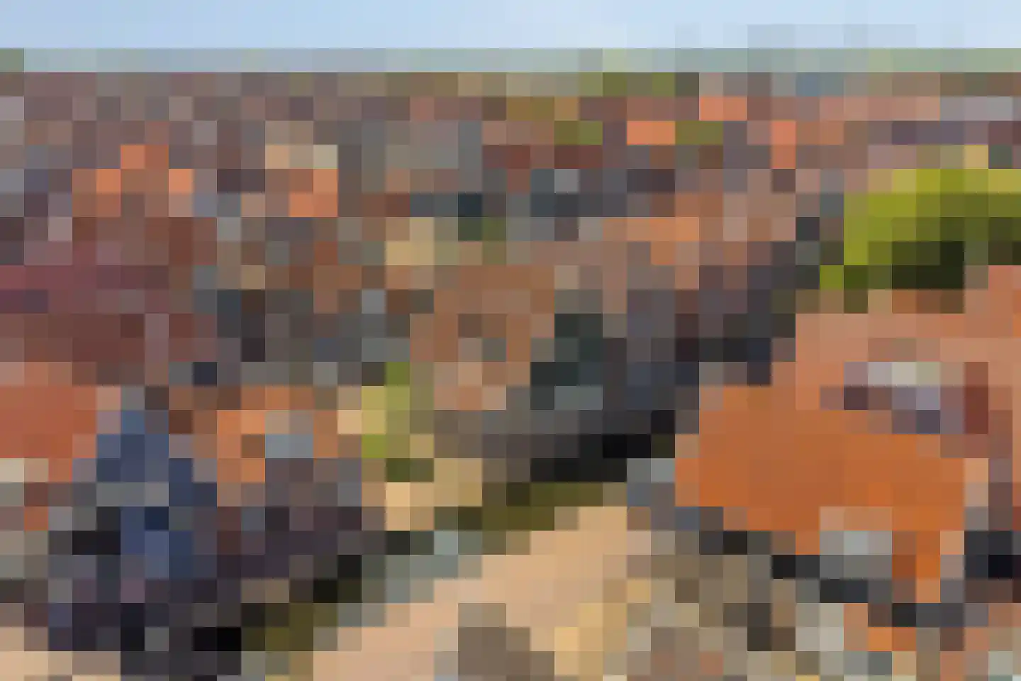 Dril 77 Volendam foto 2
