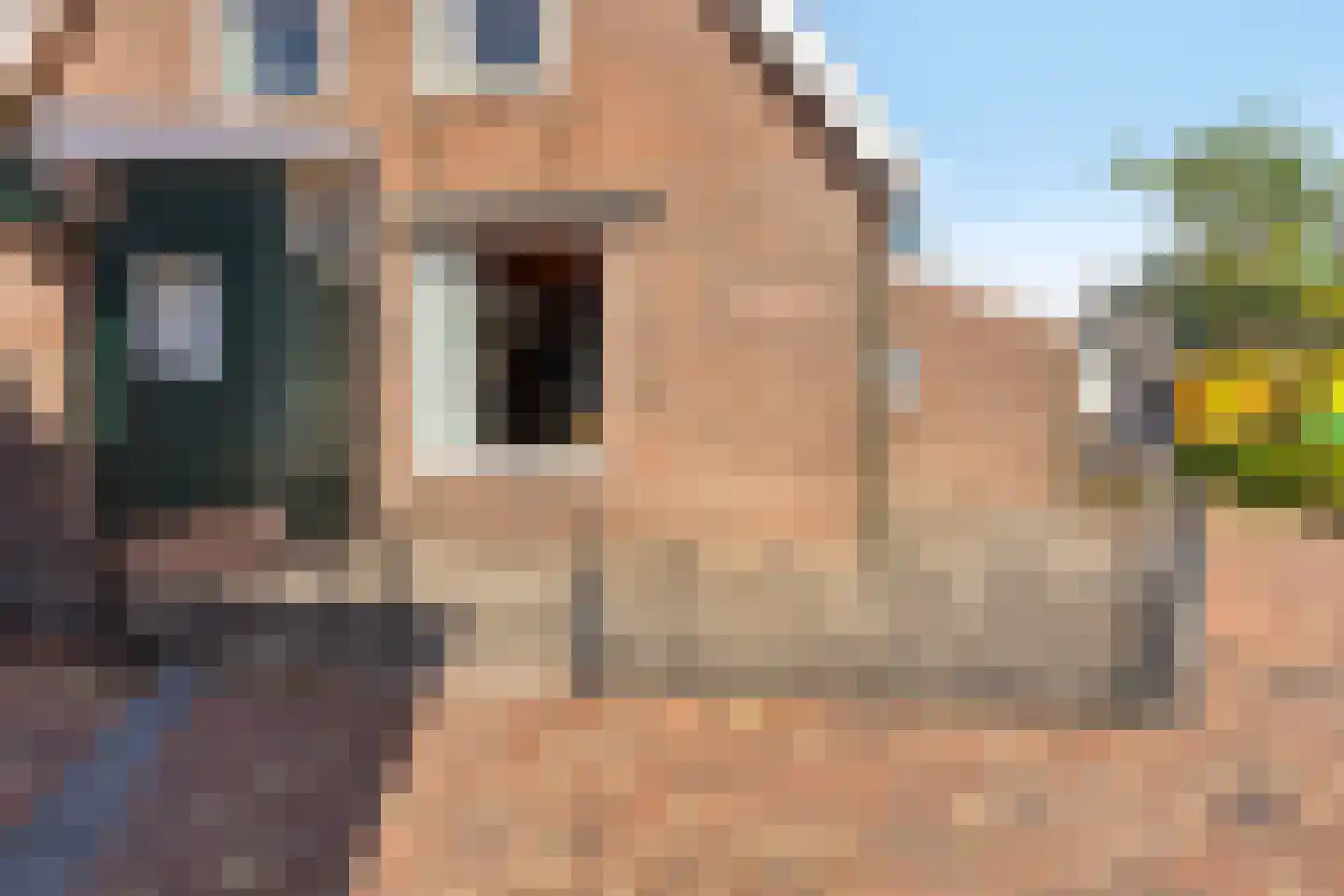 Dril 77 Volendam thumbnail 25