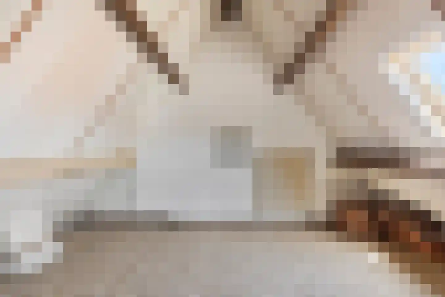 Dril 77 Volendam thumbnail 37