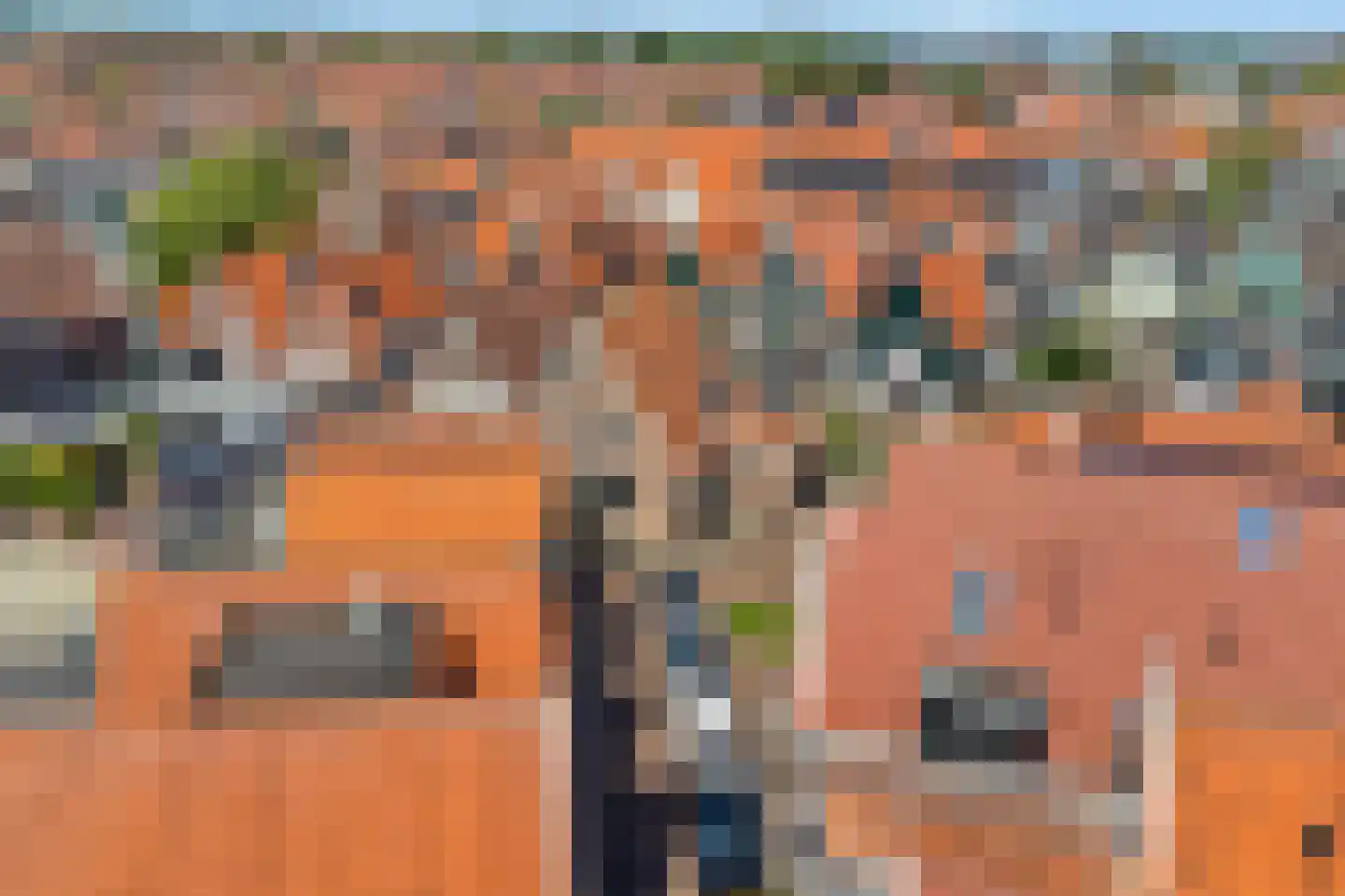 Dril 77 Volendam thumbnail 40