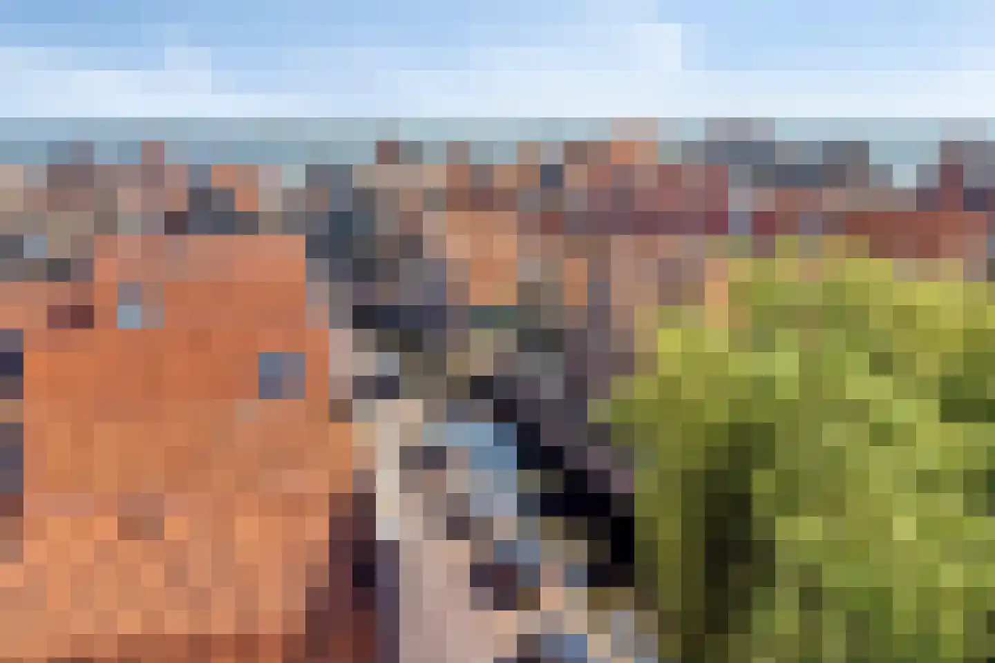 Dril 77 Volendam thumbnail 5