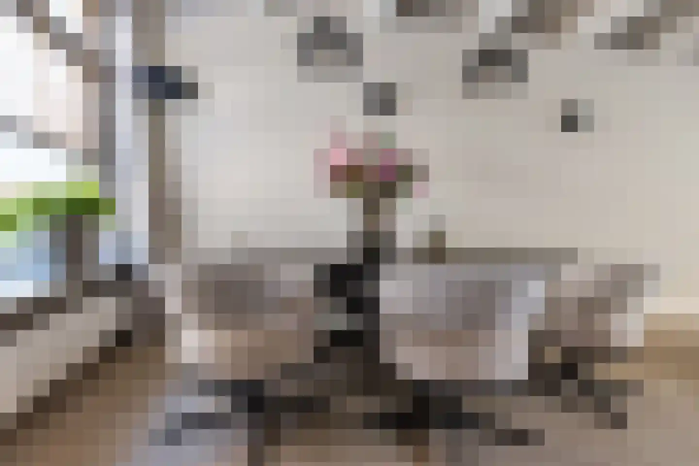 Dril 8 Volendam thumbnail 11