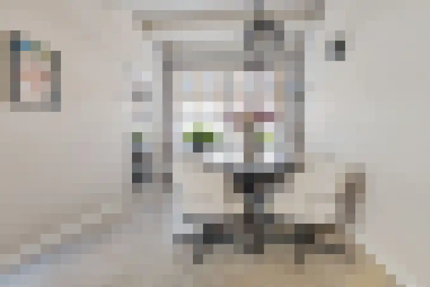 Dril 8 Volendam thumbnail 12