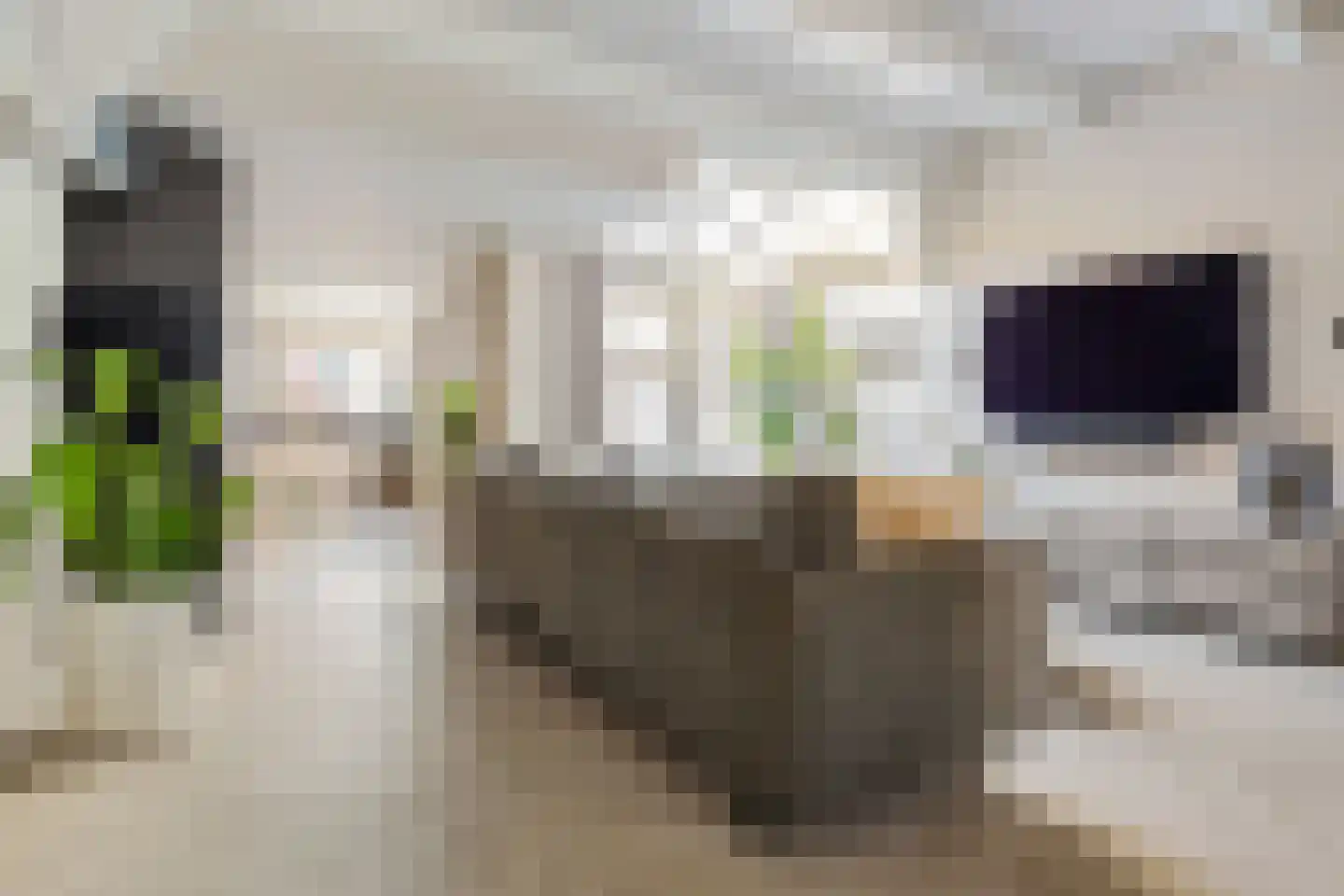Dril 8 Volendam thumbnail 13