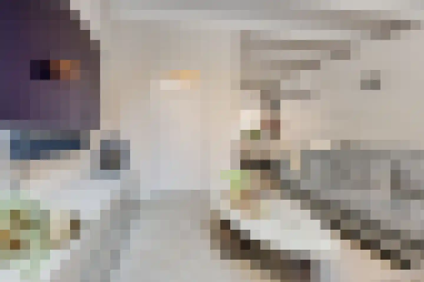 Dril 8 Volendam thumbnail 14