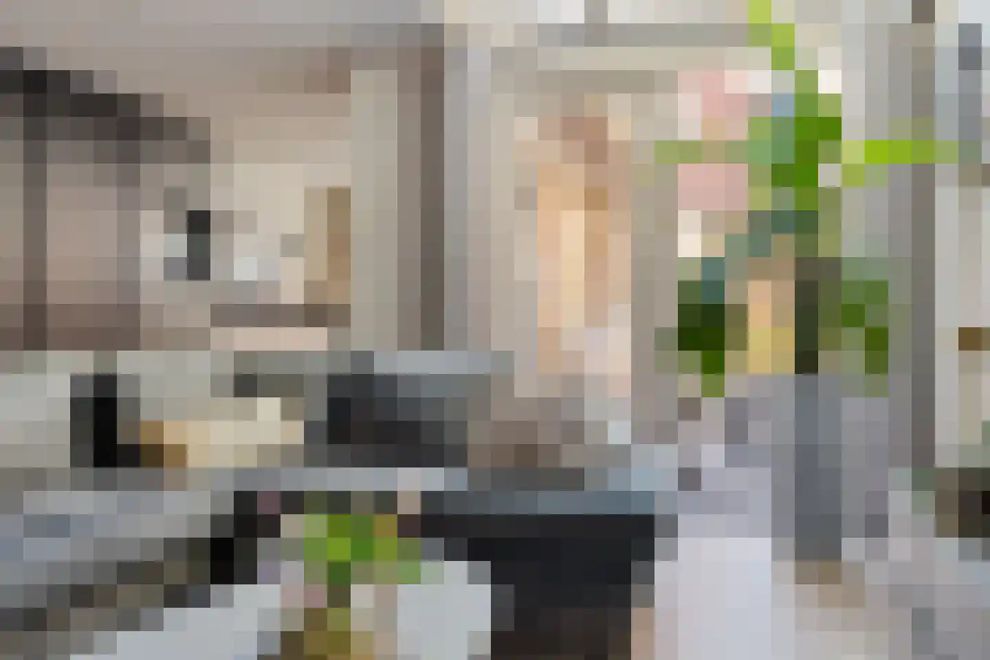 Dril 8 Volendam thumbnail 19