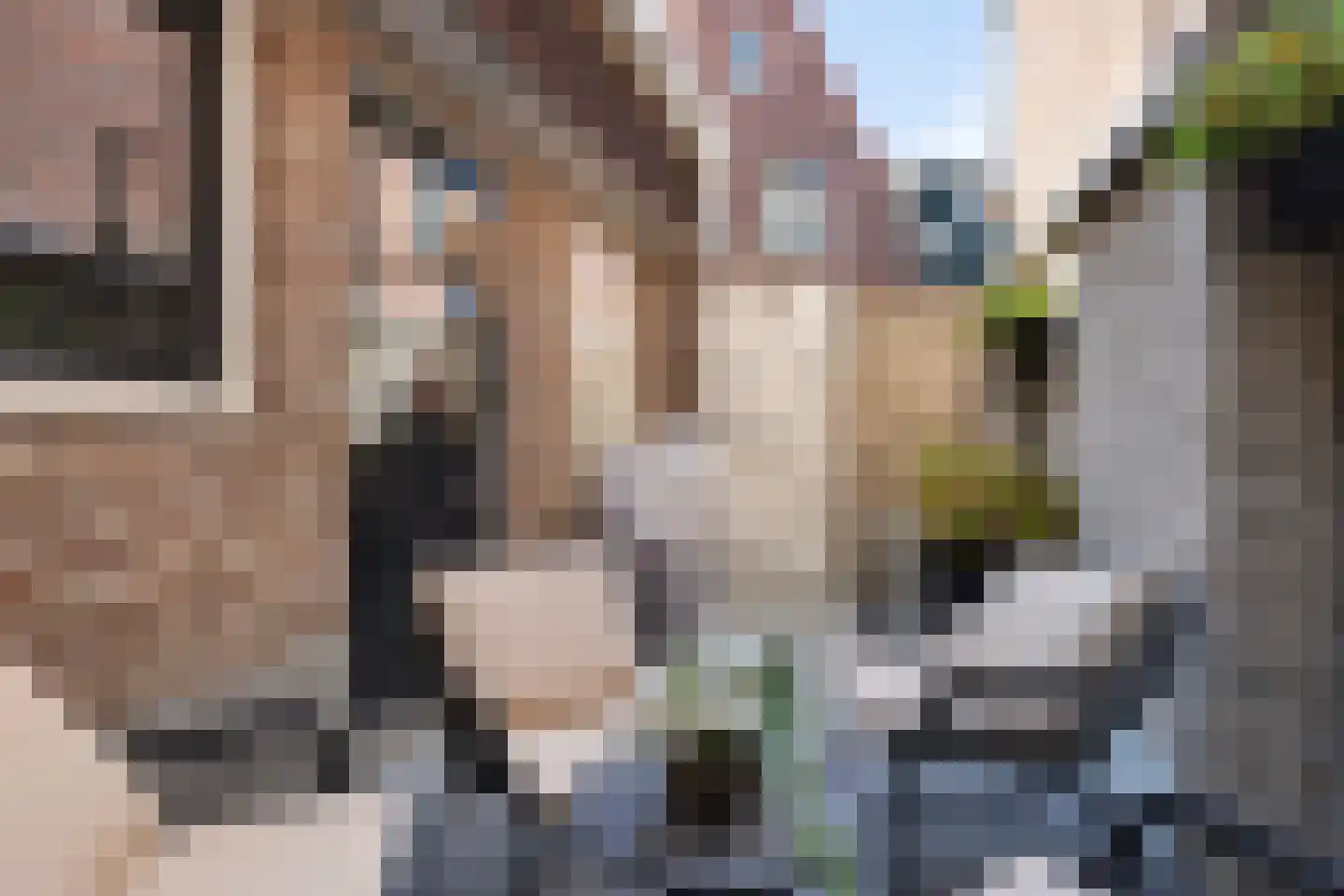 Dril 8 Volendam thumbnail 22