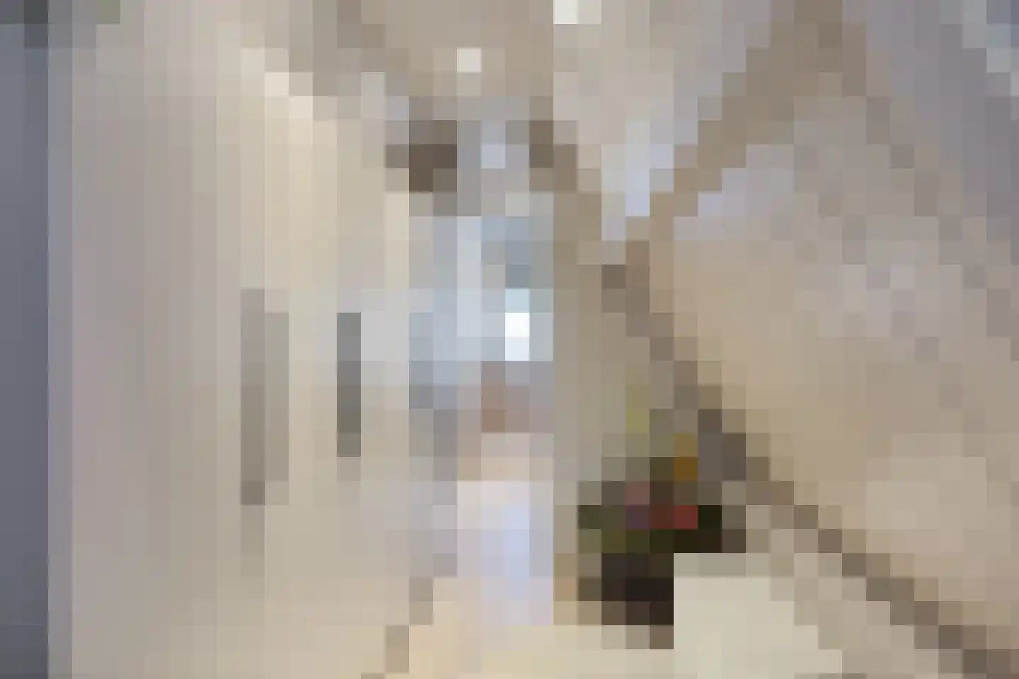 Dril 8 Volendam thumbnail 26