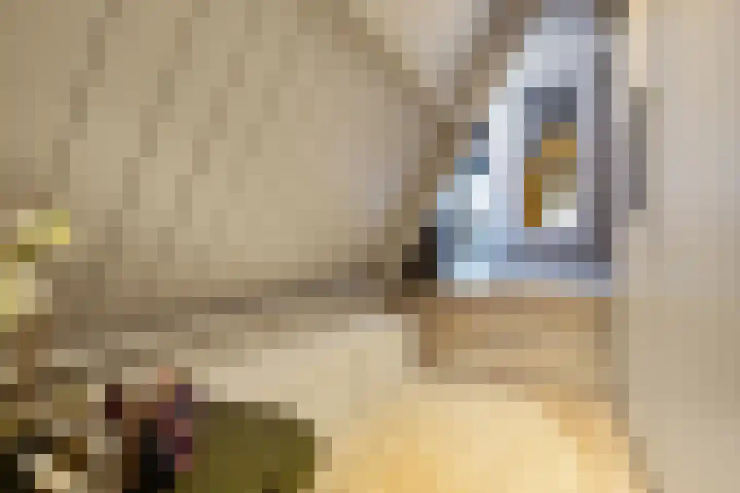 Dril 8 Volendam thumbnail 27