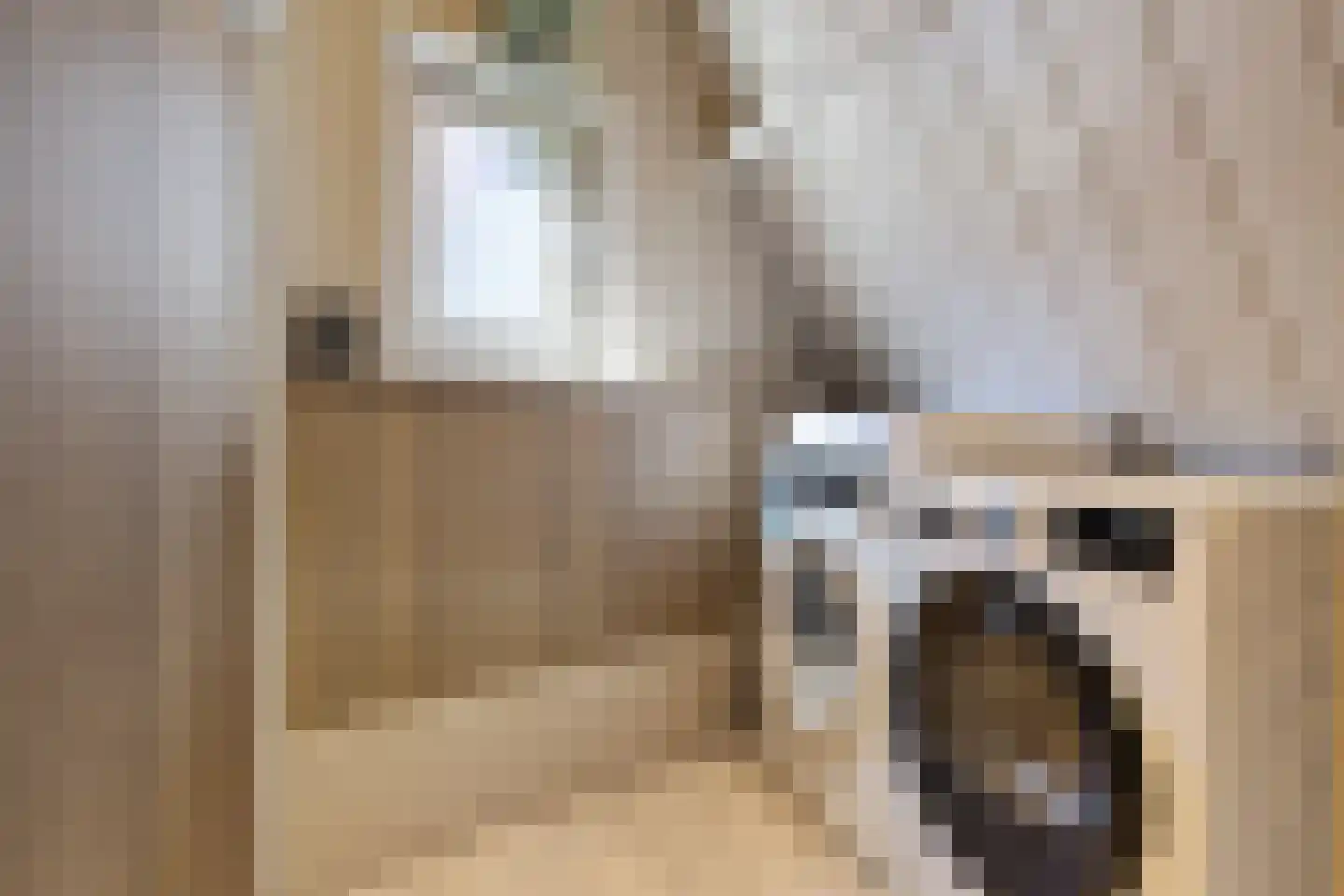 Dril 8 Volendam thumbnail 28