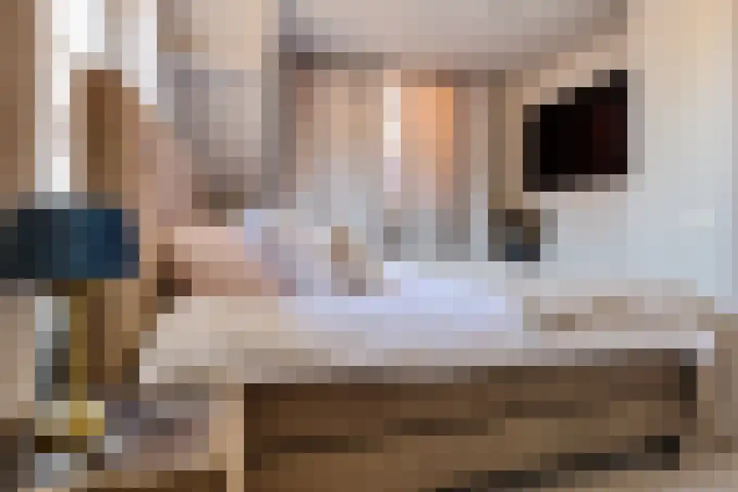 Dril 8 Volendam thumbnail 31