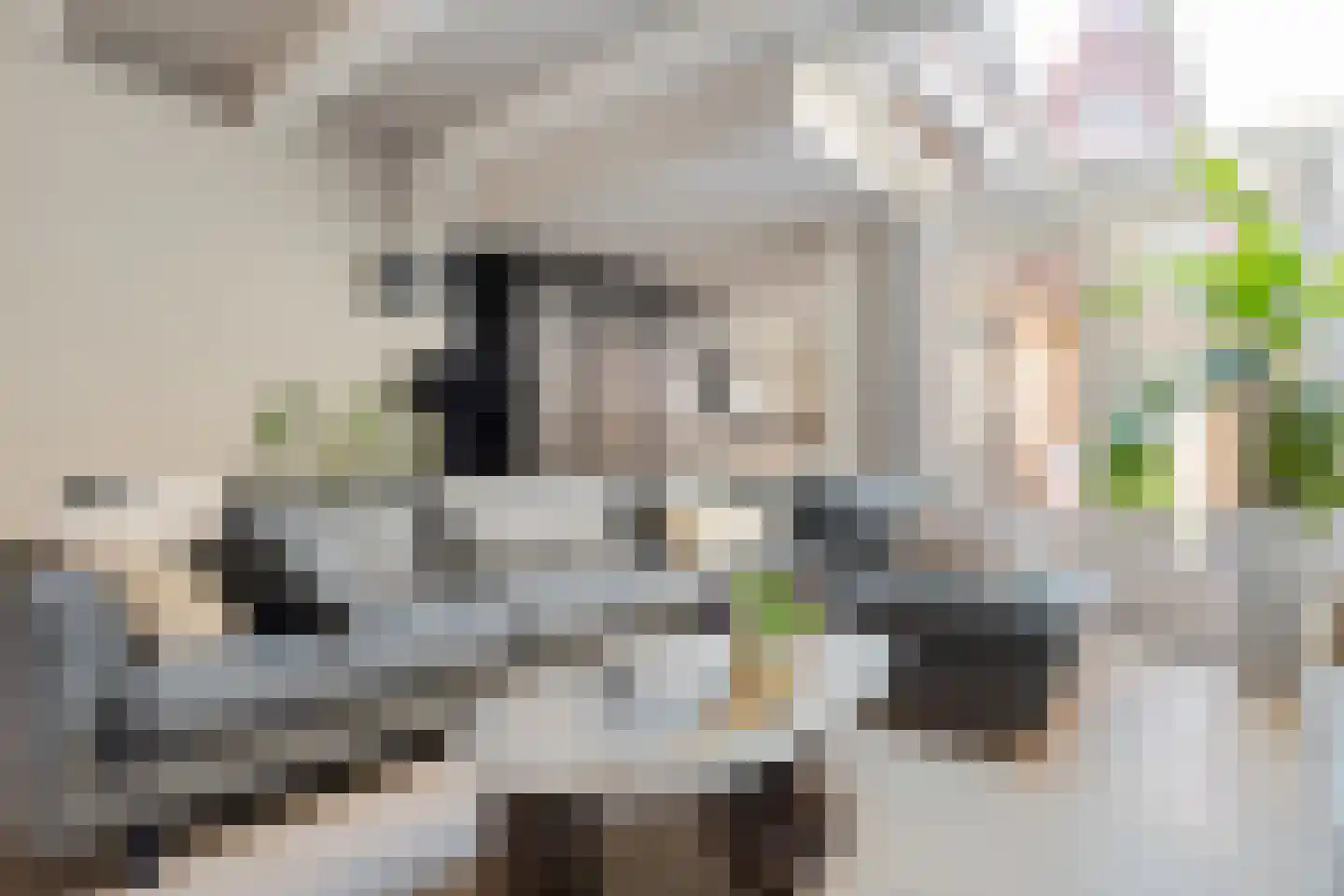 Dril 8 Volendam thumbnail 4