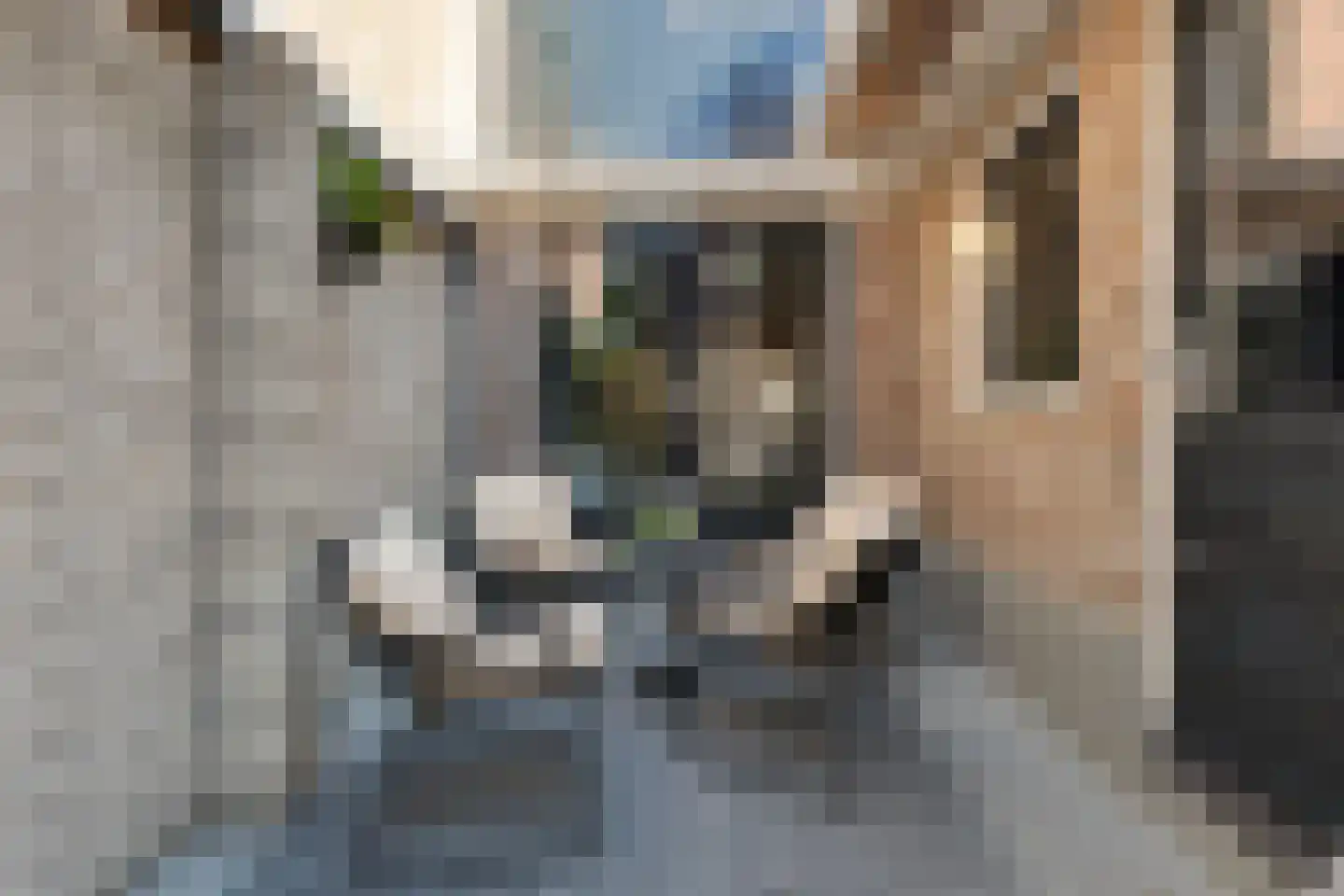 Dril 8 Volendam thumbnail 5