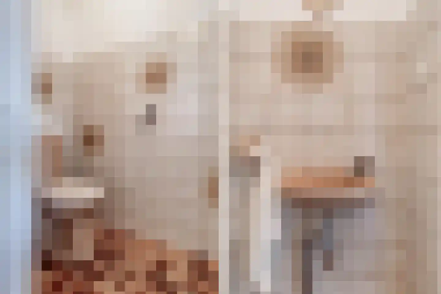 Dril 85 Volendam thumbnail 16