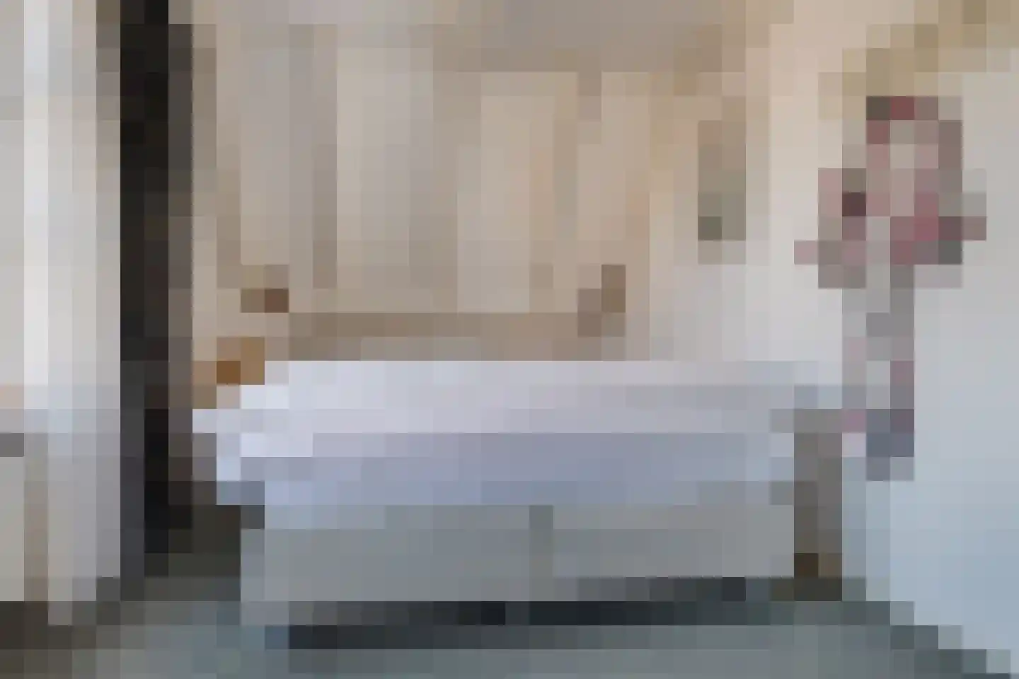 Dril 85 Volendam thumbnail 19