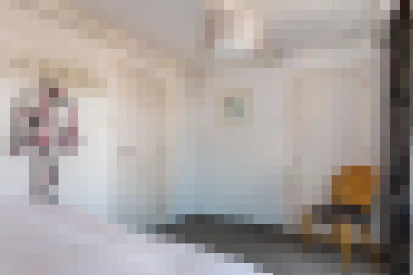 Dril 85 Volendam thumbnail 20