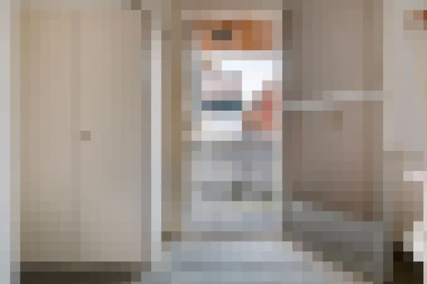 Dril 85 Volendam thumbnail 24