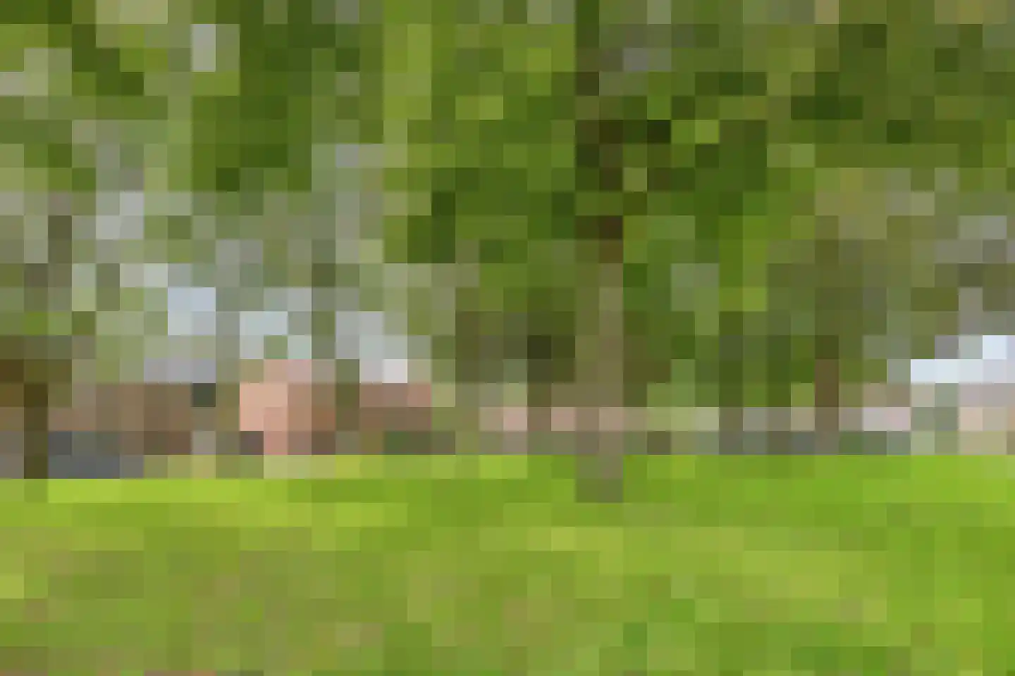 Drilleveld 16 Nieuwegein thumbnail 41