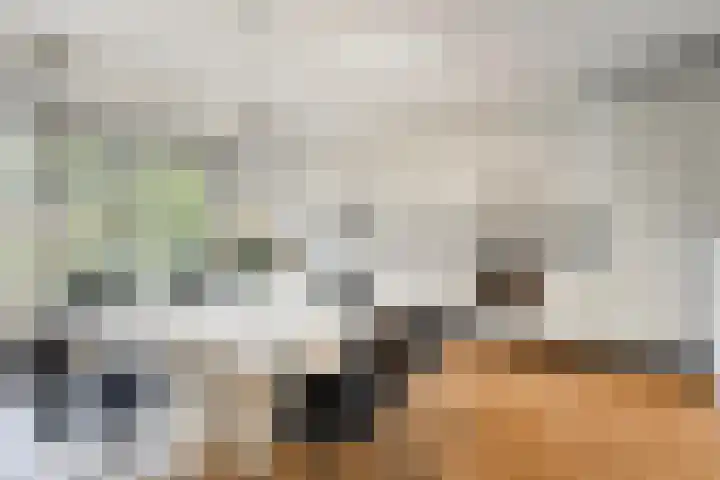 Drilscholtenstraat 27 Hengelo thumbnail 14