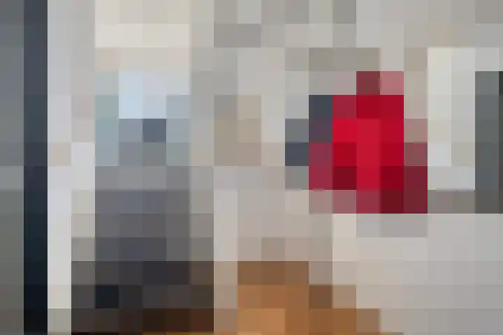 Drilscholtenstraat 27 Hengelo thumbnail 7