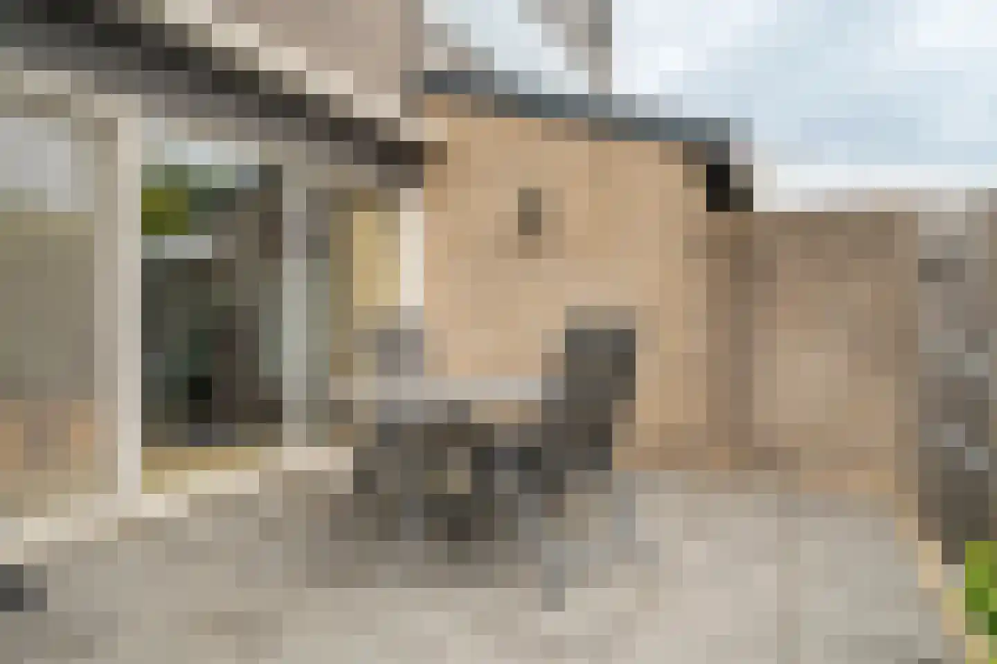Drilscholtenstraat 43 Hengelo thumbnail 29