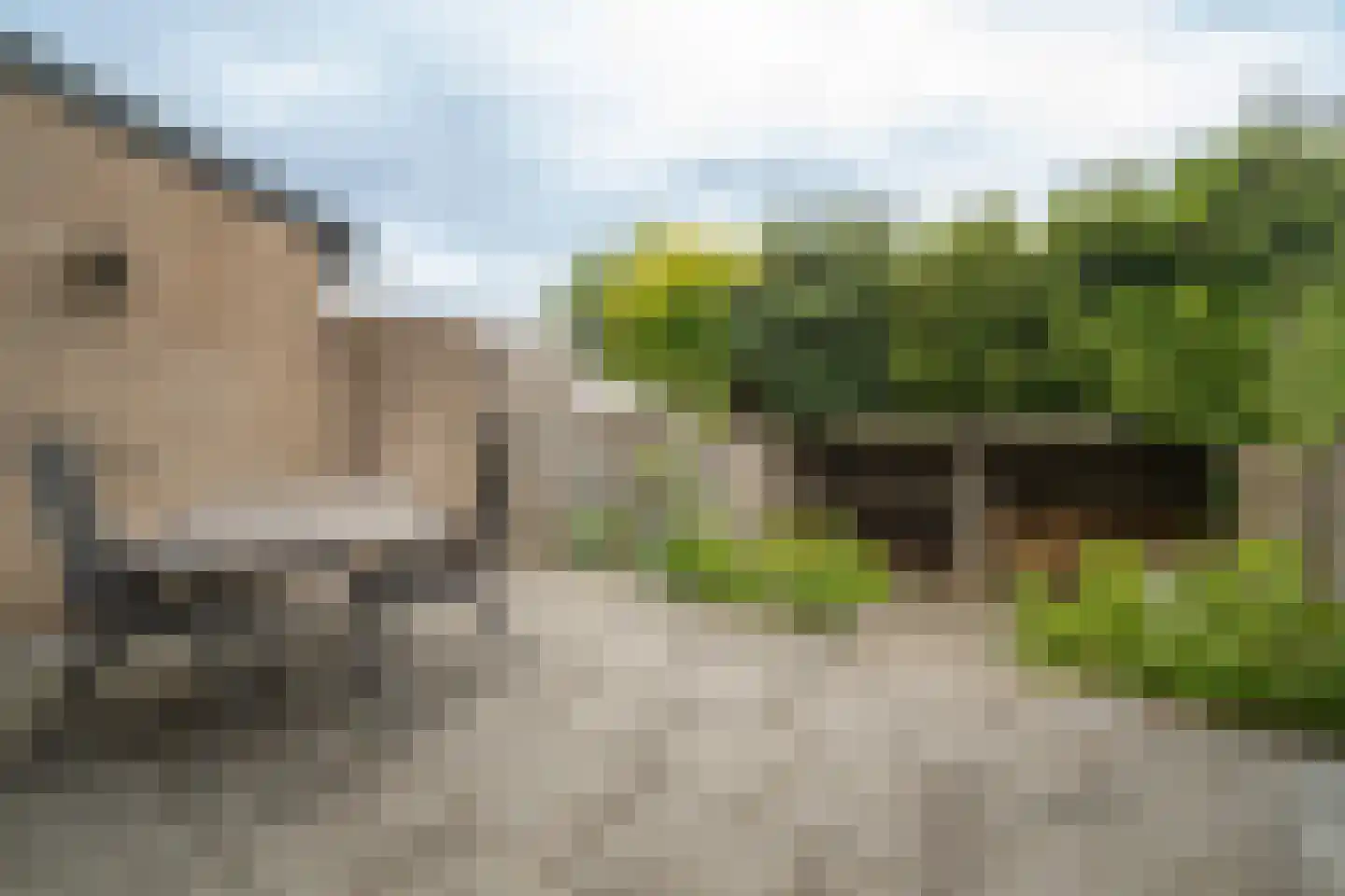 Drilscholtenstraat 43 Hengelo thumbnail 30