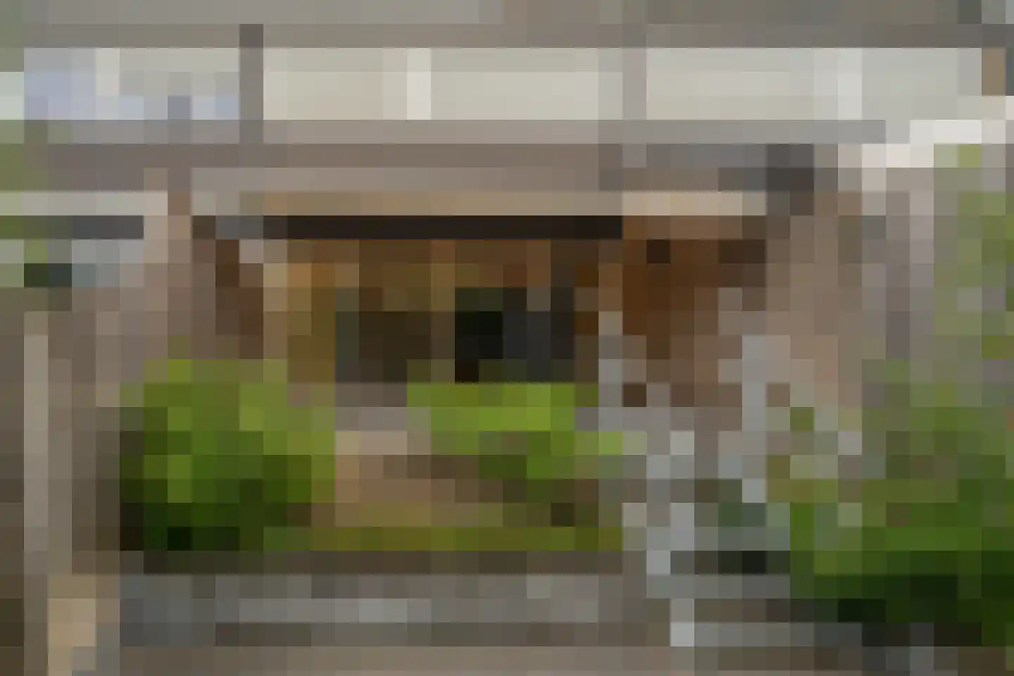 Drilscholtenstraat 43 Hengelo thumbnail 31