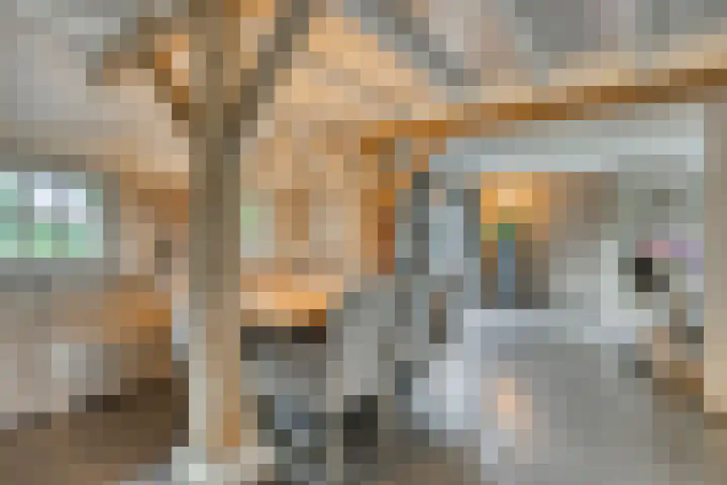 Drimmelenseweg 30 Made thumbnail 15
