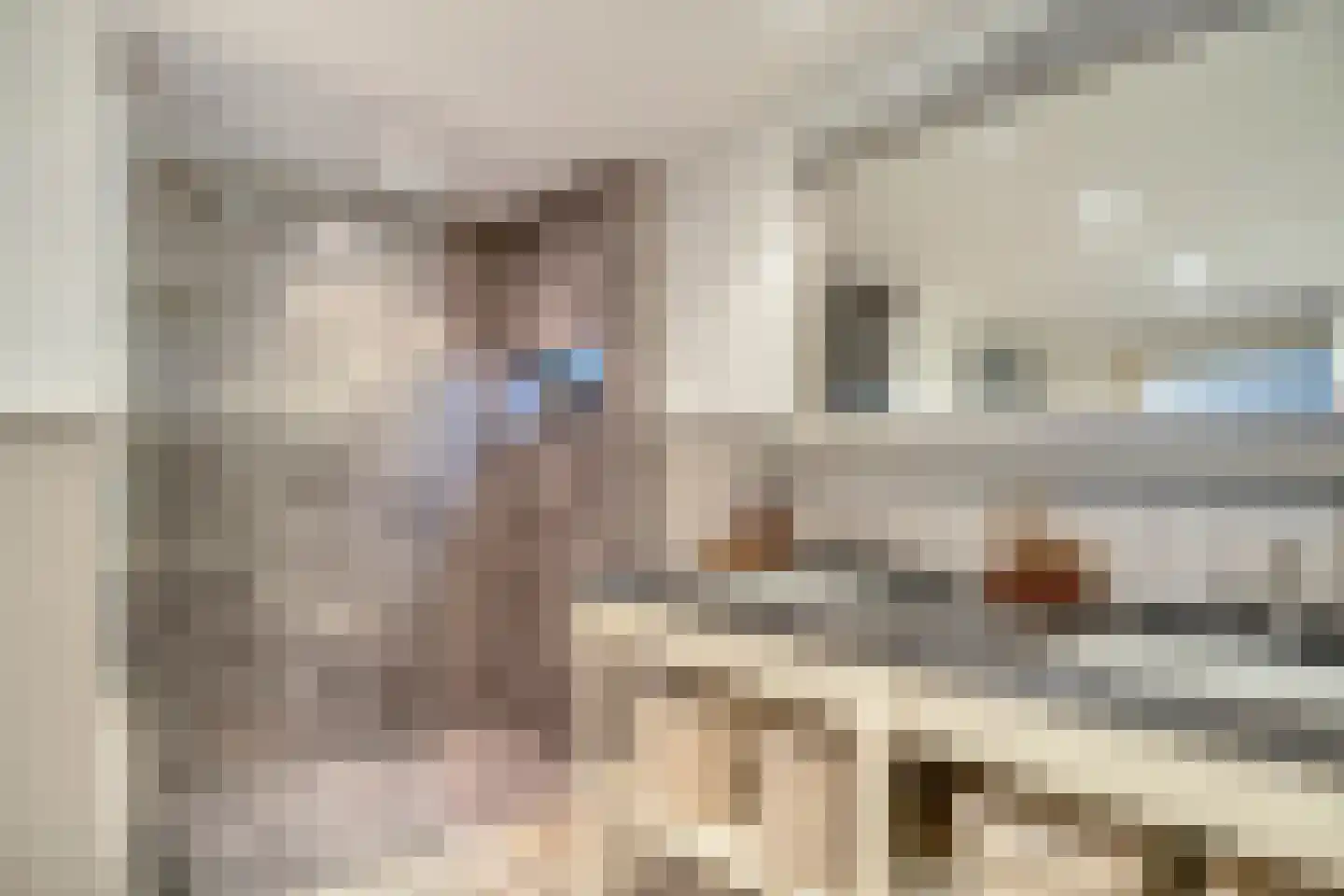 Drimmelenseweg 30 Made thumbnail 27