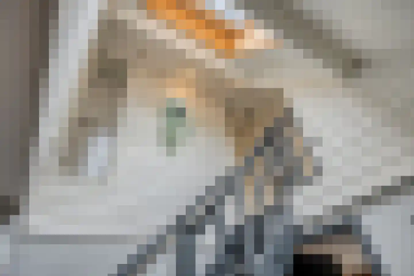 Drimmelenseweg 30 Made thumbnail 32