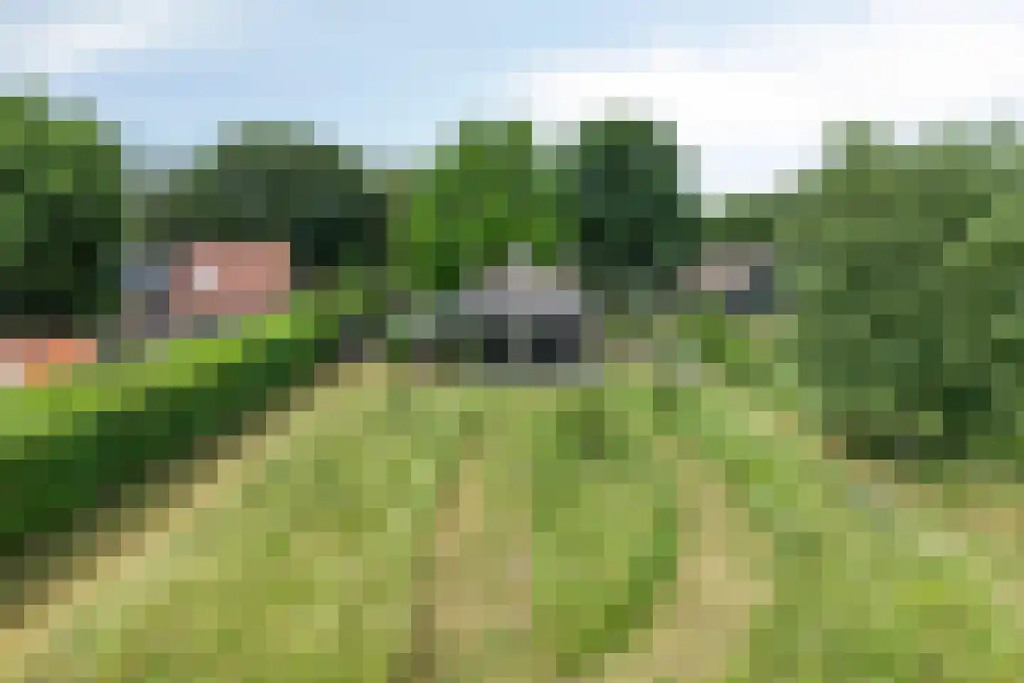Drimmelenseweg 30 Made thumbnail 5