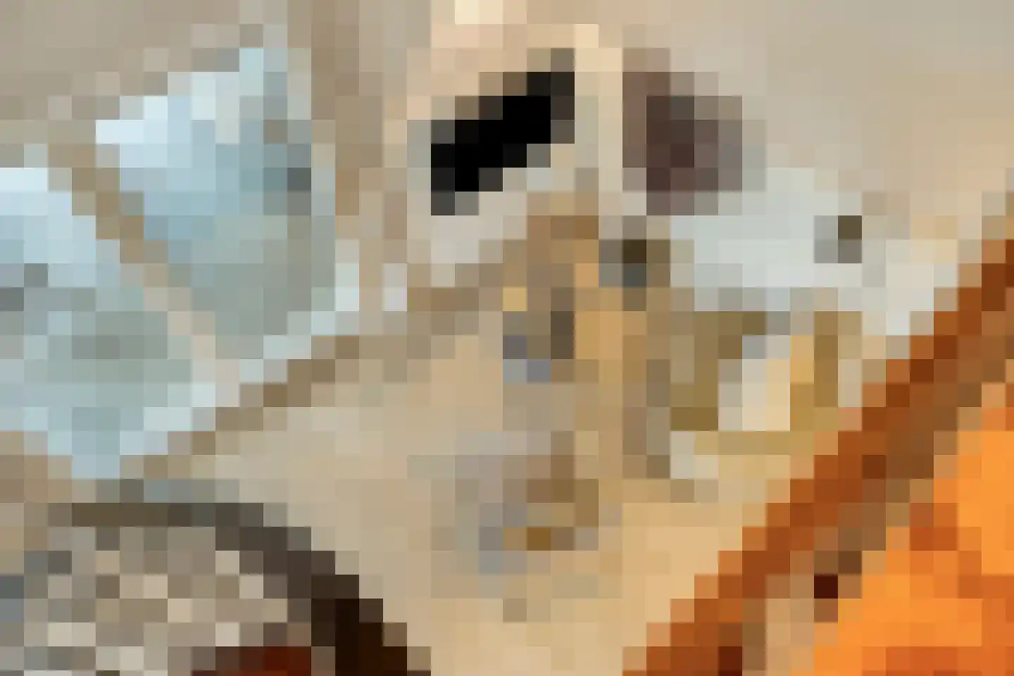 Drimmelenseweg 30 Made thumbnail 54