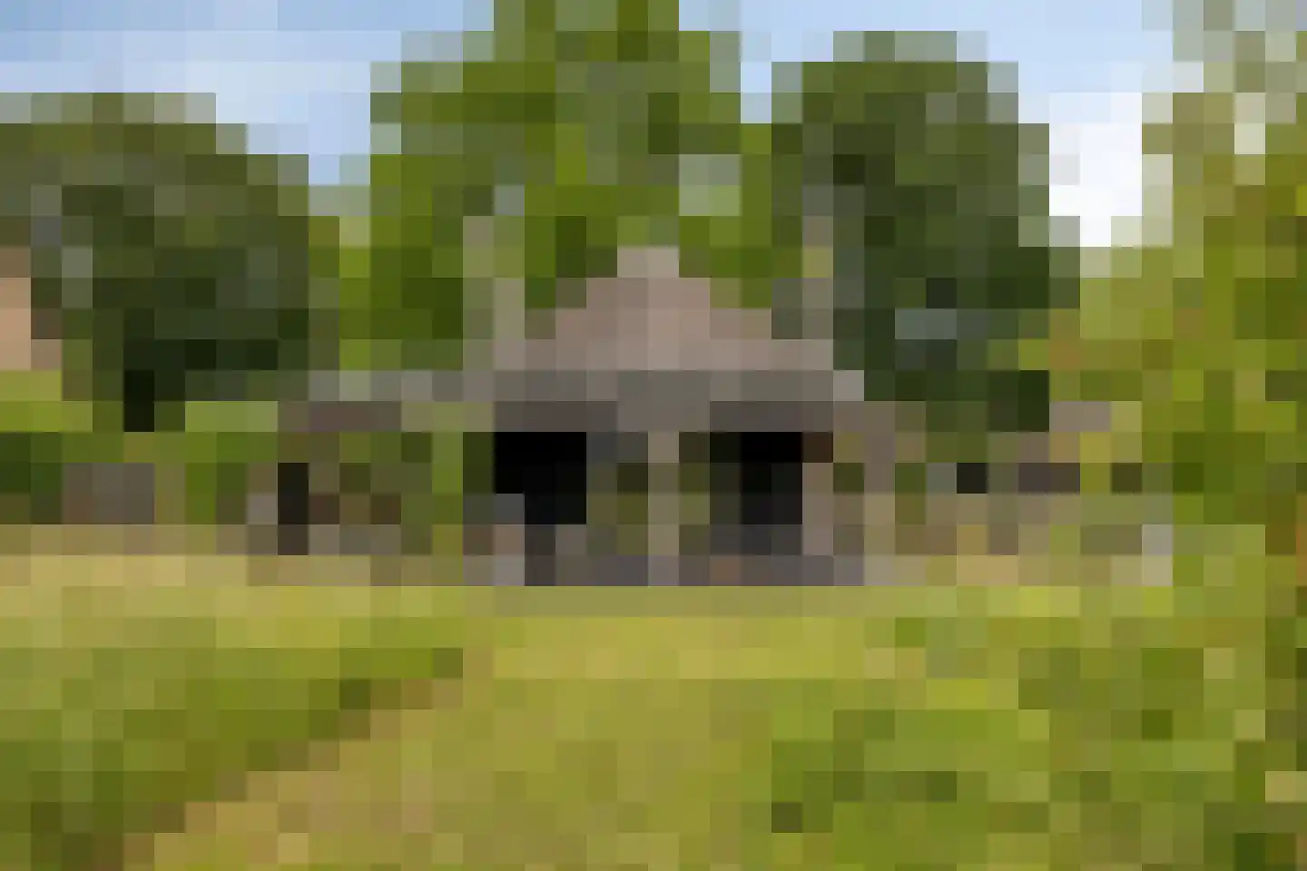 Drimmelenseweg 30 Made thumbnail 56