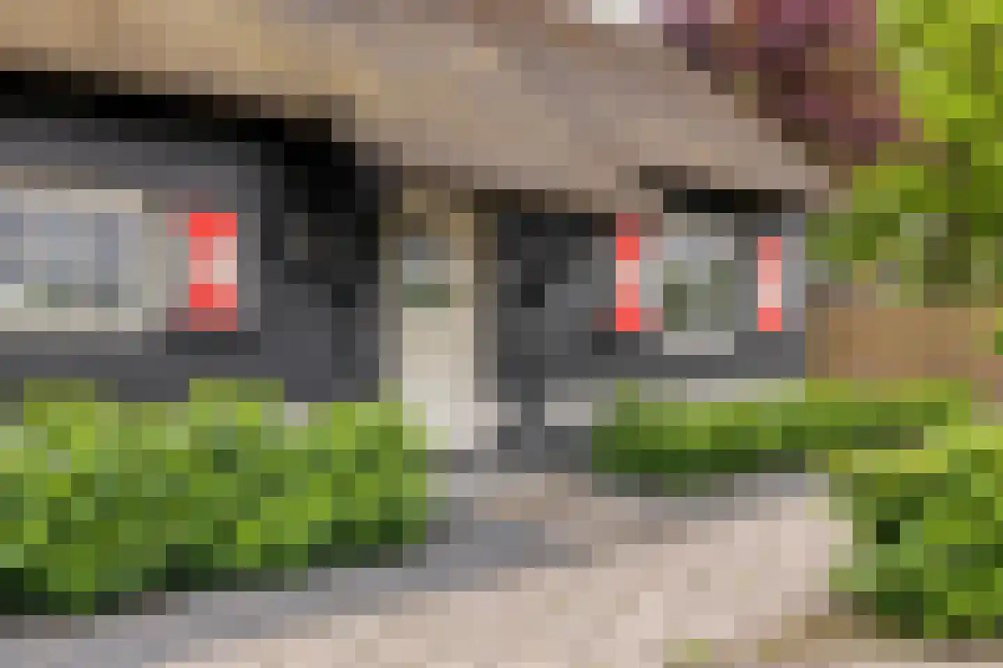 Drimmelenseweg 30 Made thumbnail 6