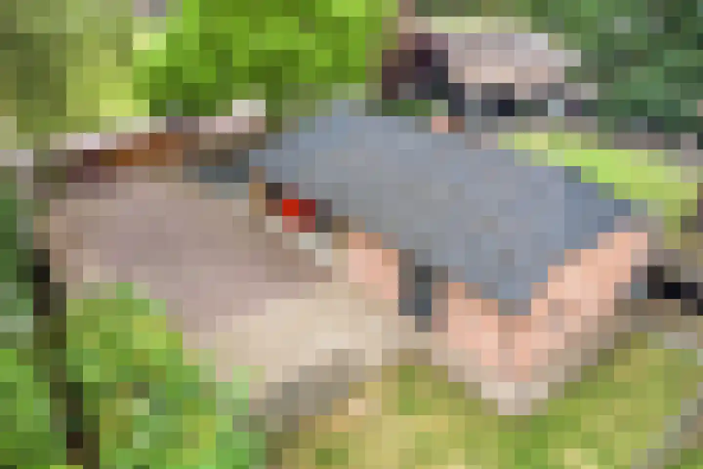 Drimmelenseweg 30 Made thumbnail 62
