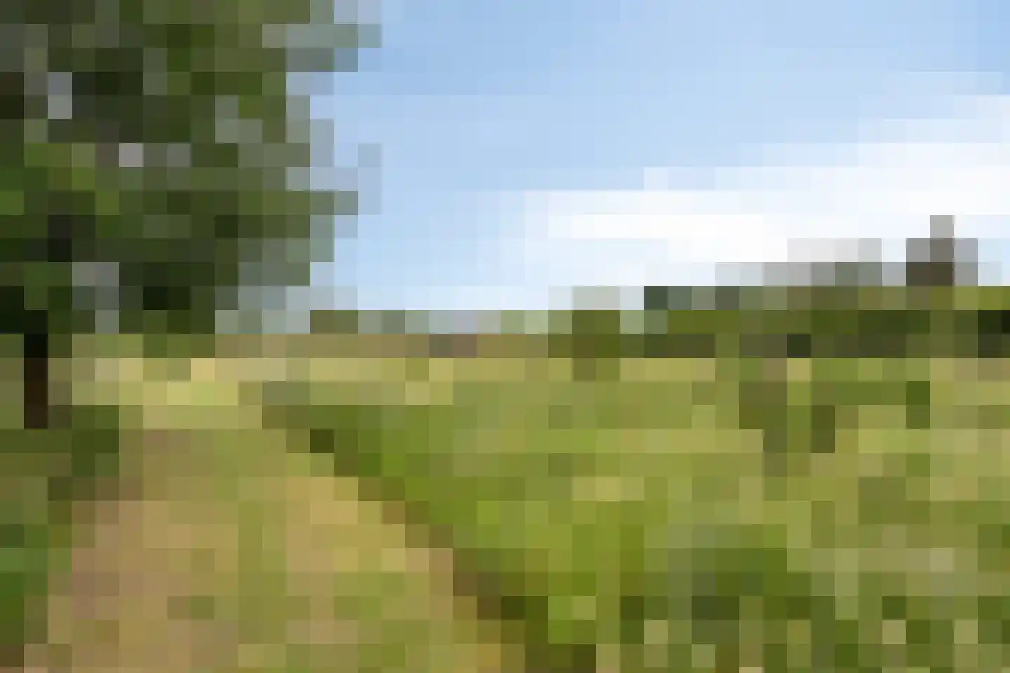 Drimmelenseweg 30 Made thumbnail 66
