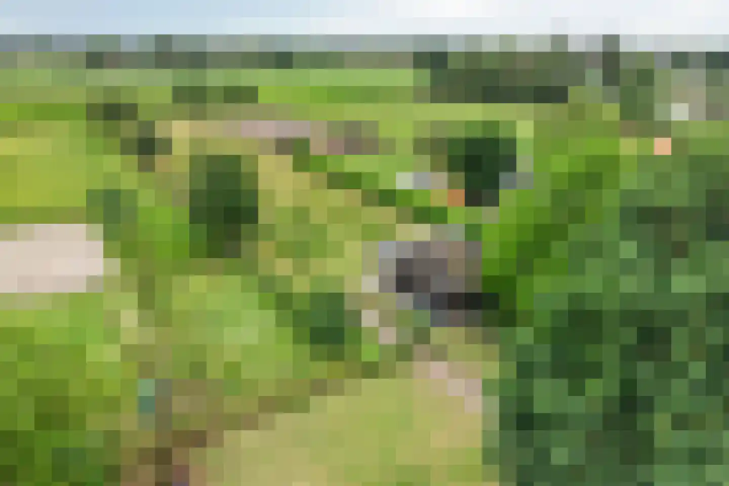 Drimmelenseweg 30 Made thumbnail 8