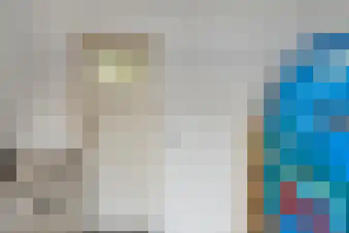 Drimmelenseweg 34 Made thumbnail 19