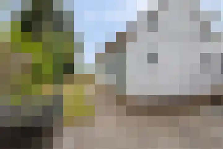 Drimmelenseweg 34 Made thumbnail 34