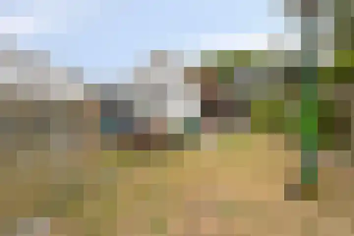 Drimmelenseweg 34 Made thumbnail 38