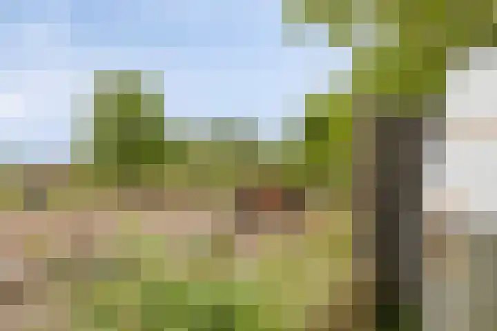 Drimmelenseweg 34 Made thumbnail 39