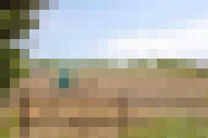 Drimmelenseweg 34 Made thumbnail 40