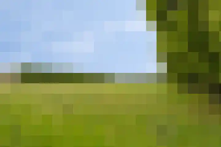Drimmelenseweg 34 Made thumbnail 41