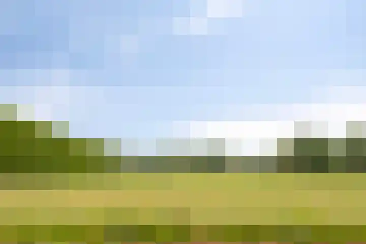 Drimmelenseweg 34 Made thumbnail 42