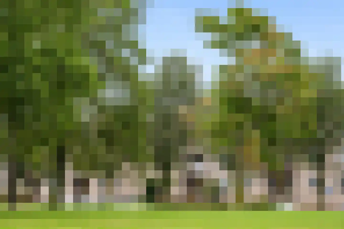 Drinkwaterweg 184 Rotterdam thumbnail 26