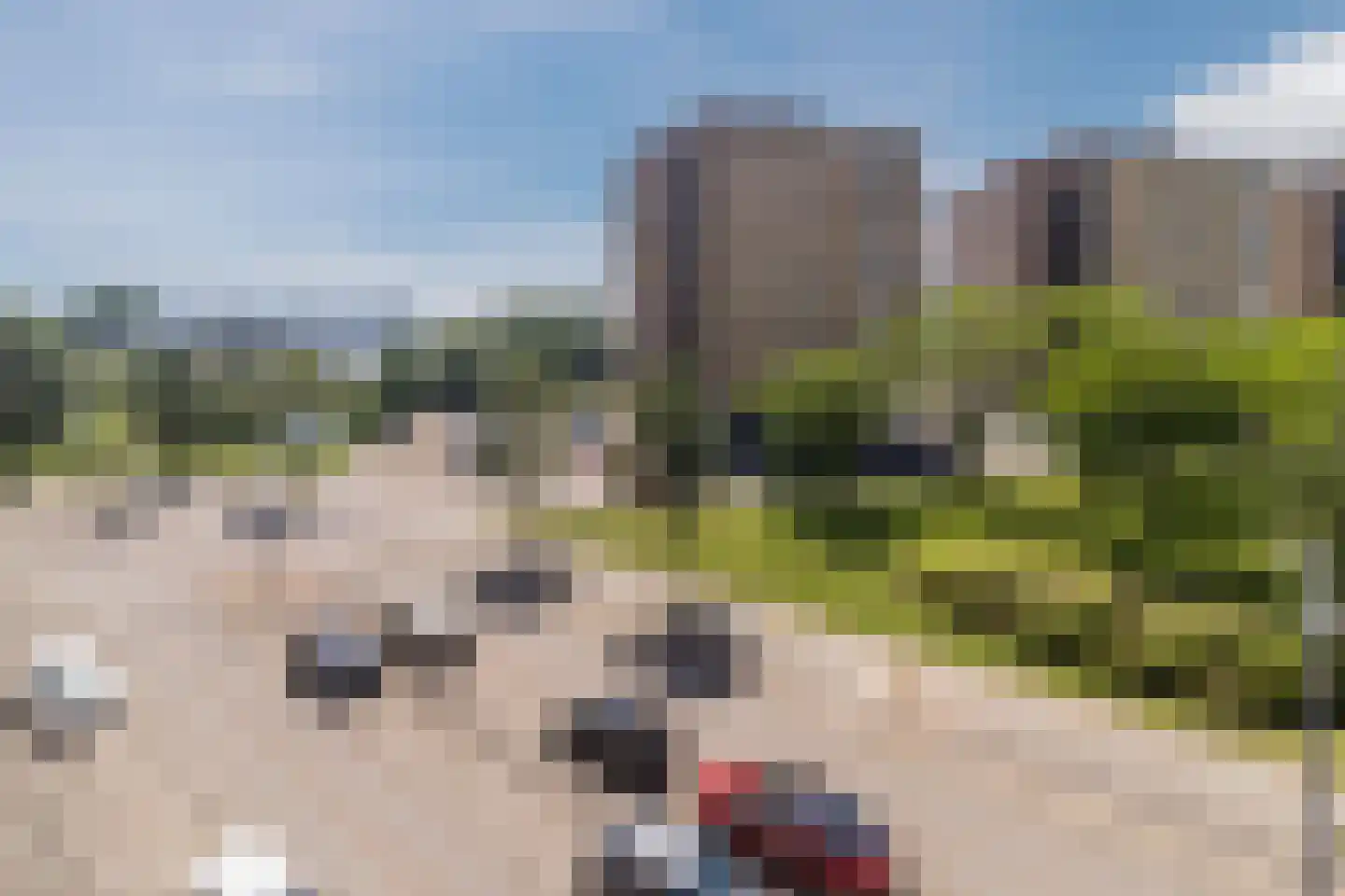 Drinkwaterweg 290 Rotterdam thumbnail 41