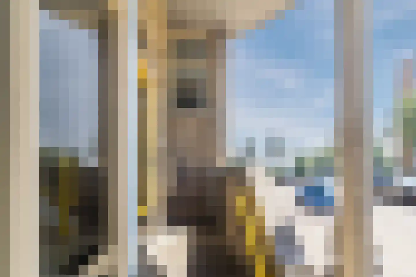 Drinkwaterweg 290 Rotterdam thumbnail 7