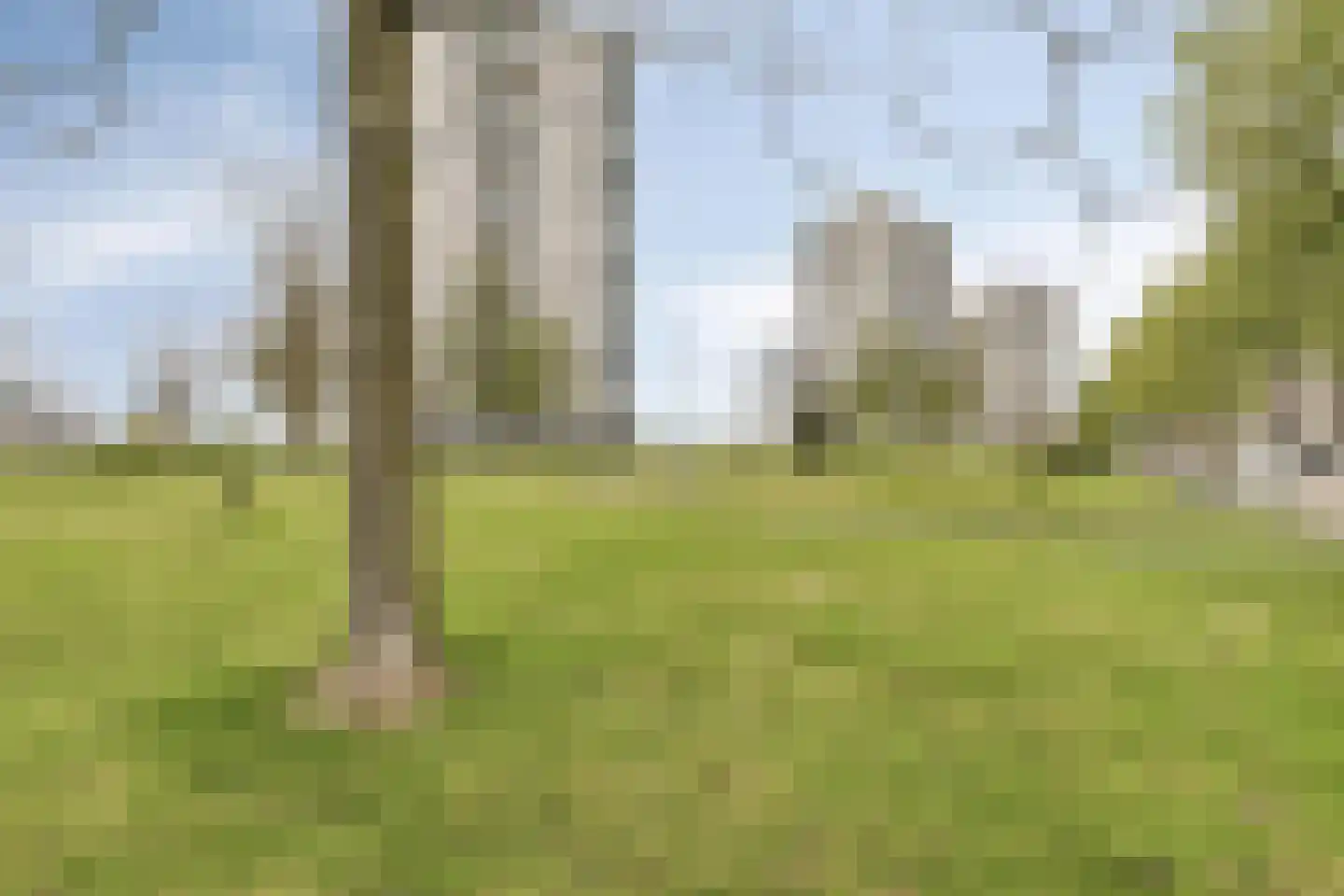 Drinkwaterweg 300 Rotterdam thumbnail 28