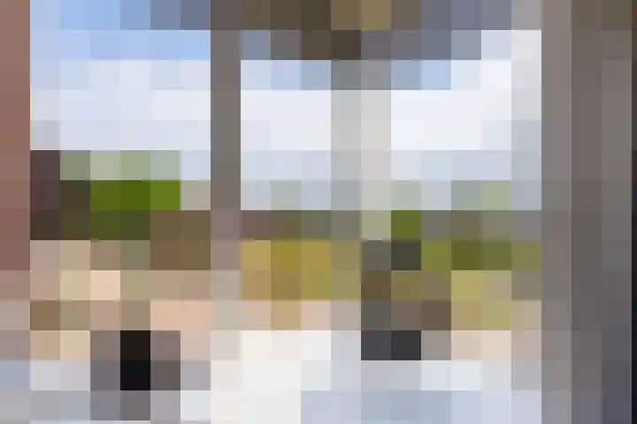 Droefakkers 1 C Loenen thumbnail 16